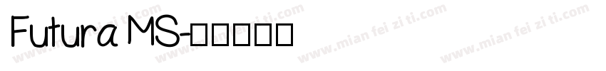 Futura MS字体转换